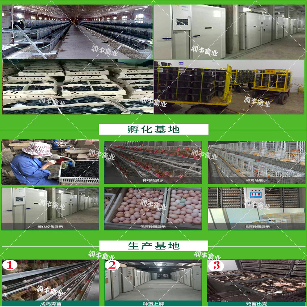 1587727262213244.jpg 33.jpg